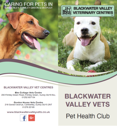 Download Pet Health Club Leaflet